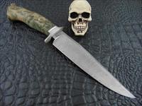Mozolic Knives Gorgeous Damascus Alder Burl Bowie / Fighter & Custom Sheath Img-3