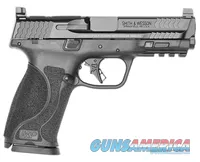 Smith & Wesson 13564 M&P M2.0 9mm 4.25" 17+1, Interchangeable Backstrap Grip,  Includes 2 Mags, No Thumb Safety