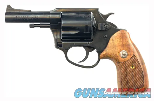Charter Arms Bulldog Special Classic 34431