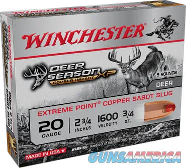 Winchester Repeating Arms WIN X20DSLF