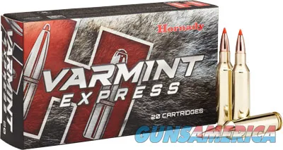 Hornady Varmint Express V-Max 81393