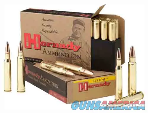 Hornady Superformance InterLock SP-RP 8231