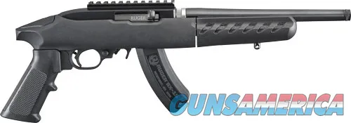 Ruger 22 Charger 4924