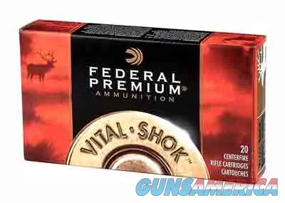 Federal Vital-Shok Big Game P300WSMB
