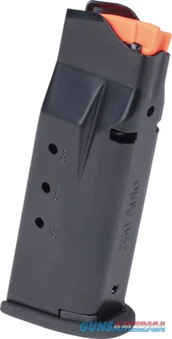 Smith & Wesson S&W MAG BG2.0 380 10RD SS