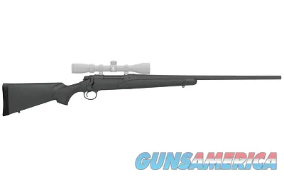 Remington REM R84601