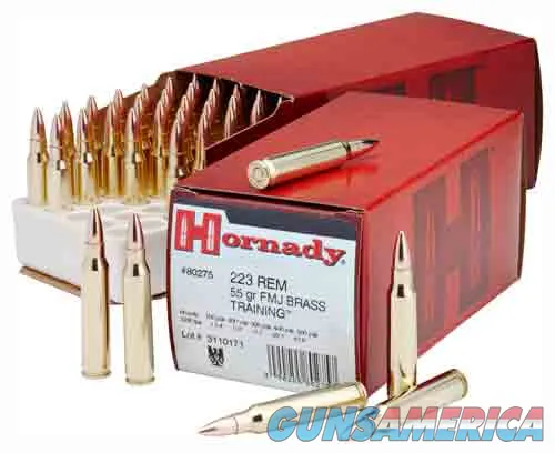 Hornady Custom Training 80275