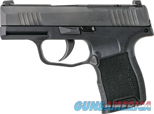 Sig Sauer 365-380-BSS-MS