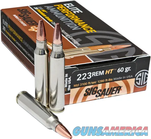 Sig Sauer Hunting Varmint E223V1-20