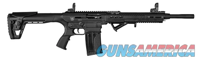 Italian Firearms Group AR-Shotgun LDLND1171218