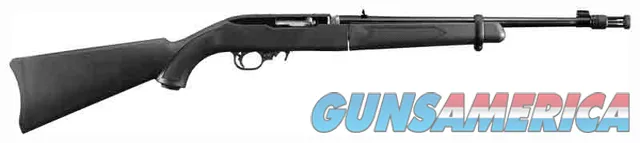 Ruger 10/22 Takedown 11112