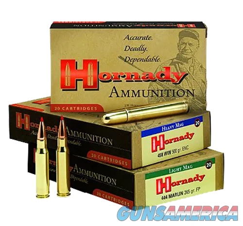 Hornady Dangerous Game DGS 8242