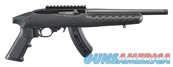 Ruger 22 Charger 4923