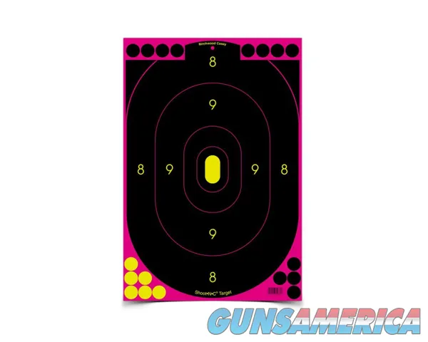 Birchwood Casey BIRCHWOOD CASEY SHOOT-N-C PINK TARGETS