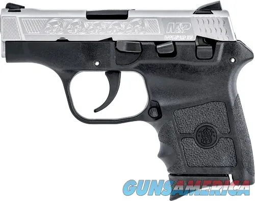 Smith & Wesson M&P Bodyguard 380 BODYGRD