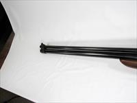 218Y SAVAGE 24D SERIES P 22MG / 20GA