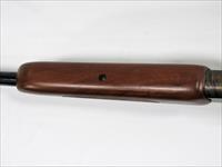 218Y SAVAGE 24D SERIES P 22MG / 20GA