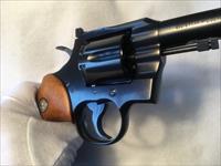 Colt   Img-25