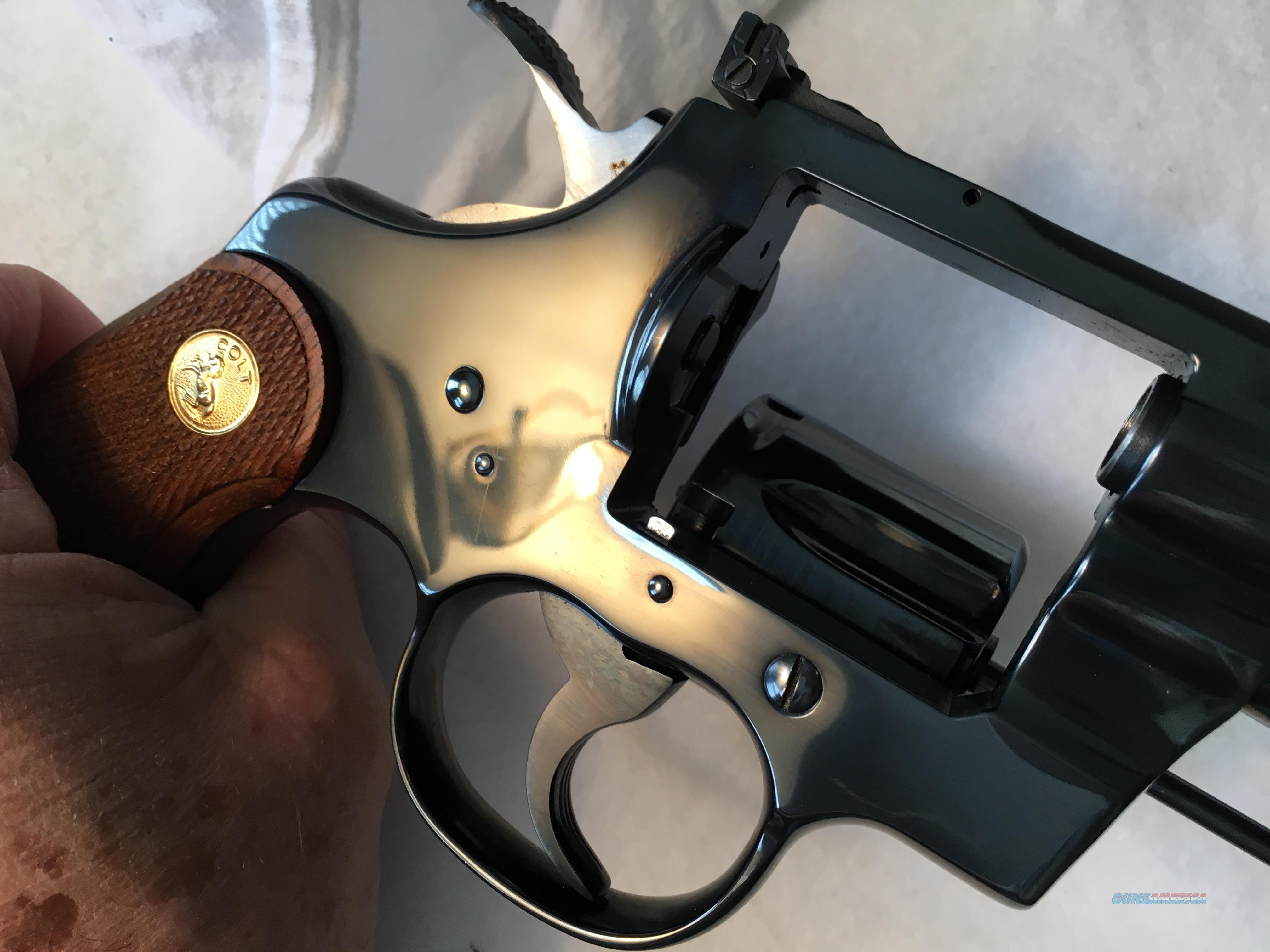 COLT PYTHON 2 1/2