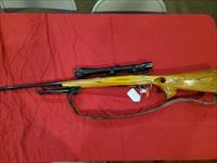 Interarms mark x 243 cal