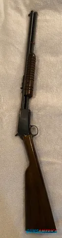 Rossi 22LR Pump rifle