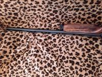 Benelli Super Black Eagle 2 eastern flyway edition 2004