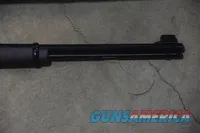 HENRY LARGE LOOP LEVER-ACTION .22 LR/S/L RIFLE W/FREE SHIPPING