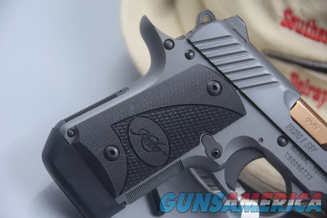 KIMBER MICRO-9 EVS 9 MM PISTOL FINI... for sale at Gunsamerica.com ...