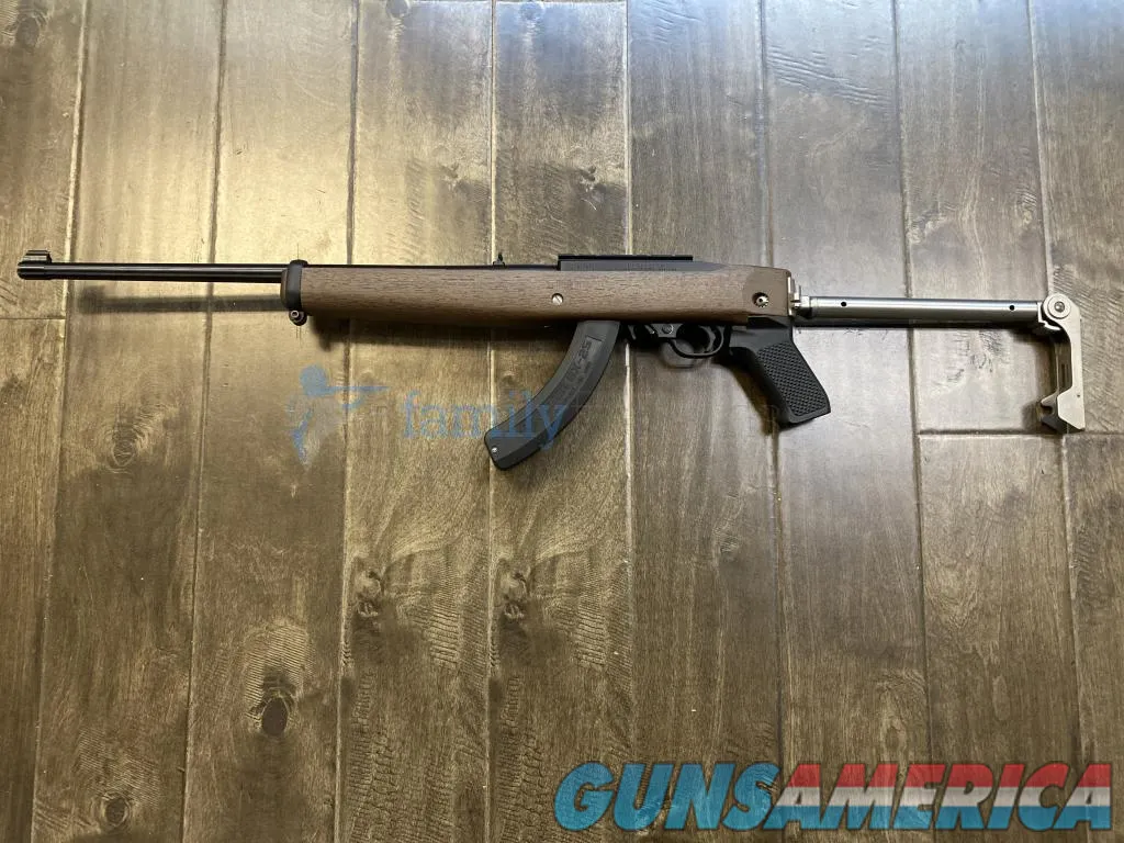 Ruger 1022  Img-2