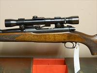 Winchester Model 70 Standard in .270 win
