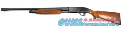 Revelation 310A Shotgun 12 Ga.