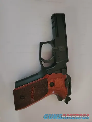 P229   9MM FRAME