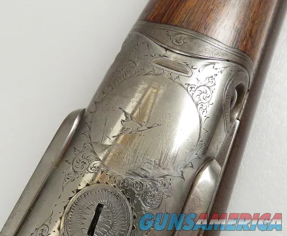 Antique 10 Gauge Parker Hammer Shotgun with Damascus Barrels VERY NICE Img-51