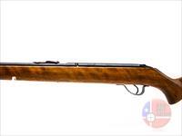 Savage Arms Springfield 187S .22 LR 20", Black