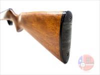 Savage Arms Springfield 187S .22 LR 20", Black