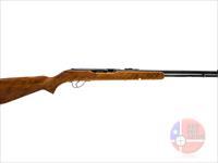 Savage Arms Springfield 187S .22 LR 20", Black