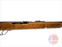 Savage Arms Springfield 187S .22 LR 20", Black