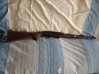 Remington Mohawk .22