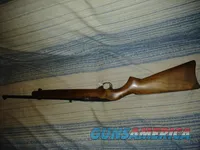 Ruger 10-22 .22 Rifle