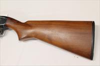 Hawthorne Model 880 .22 LR Semi-Auto Rifle