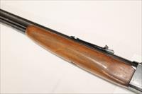 Hawthorne Model 880 .22 LR Semi-Auto Rifle