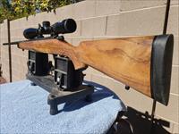 KIMBER 84L CLASSIC - 25-06