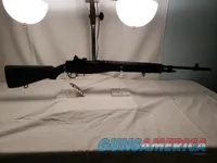 Springfield M1A (.308Win)
