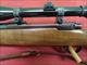 Ruger M77, 30-06 Springfield