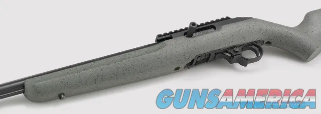 Ruger 10/22 Competition (.22LR)