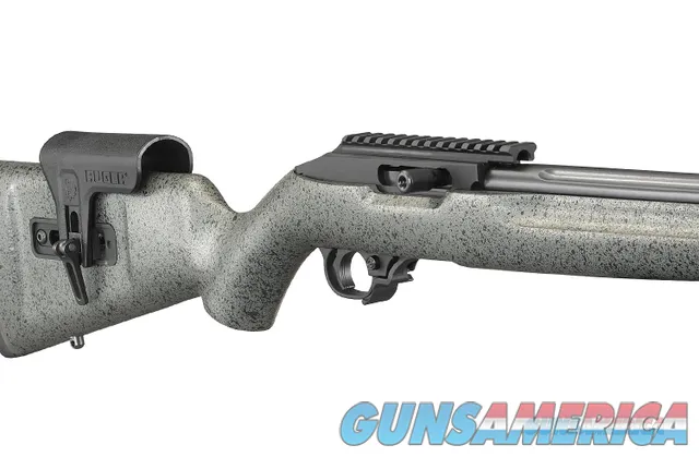 Ruger 10/22 Competition (.22LR)