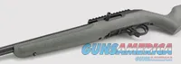 Ruger 10/22 Competition (.22LR)