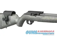 Ruger 10/22 Competition (.22LR)