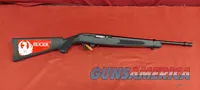 Ruger 10/22 FS (.22 LR)