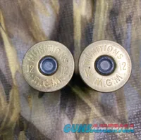 Munitions Electrique